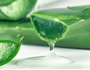 Crema facial hidratante para el cuidado de la piel con gel de aloe